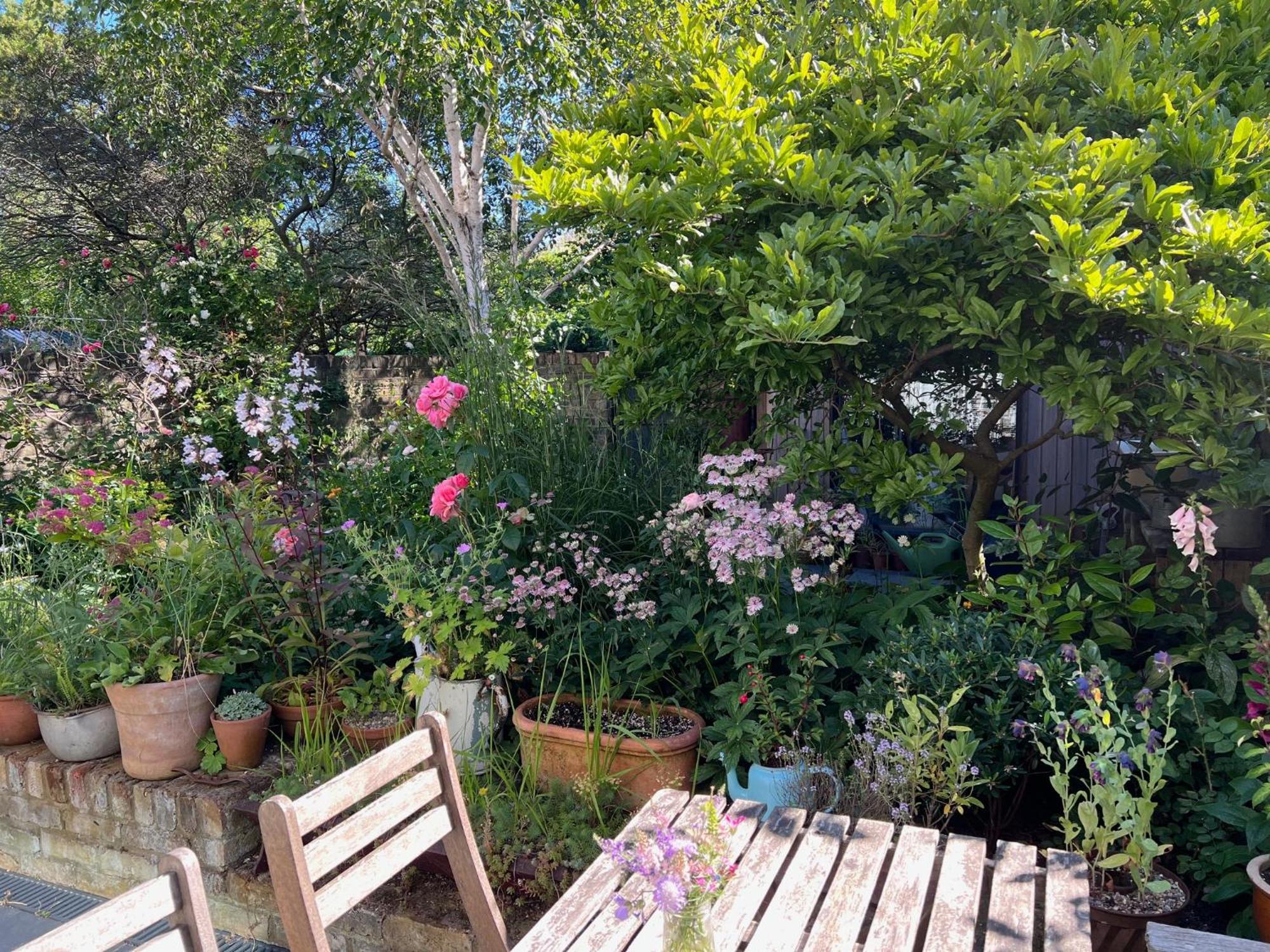 Bright And Elegant 2 Bedroom Flat, Near Notting Hill London Kültér fotó