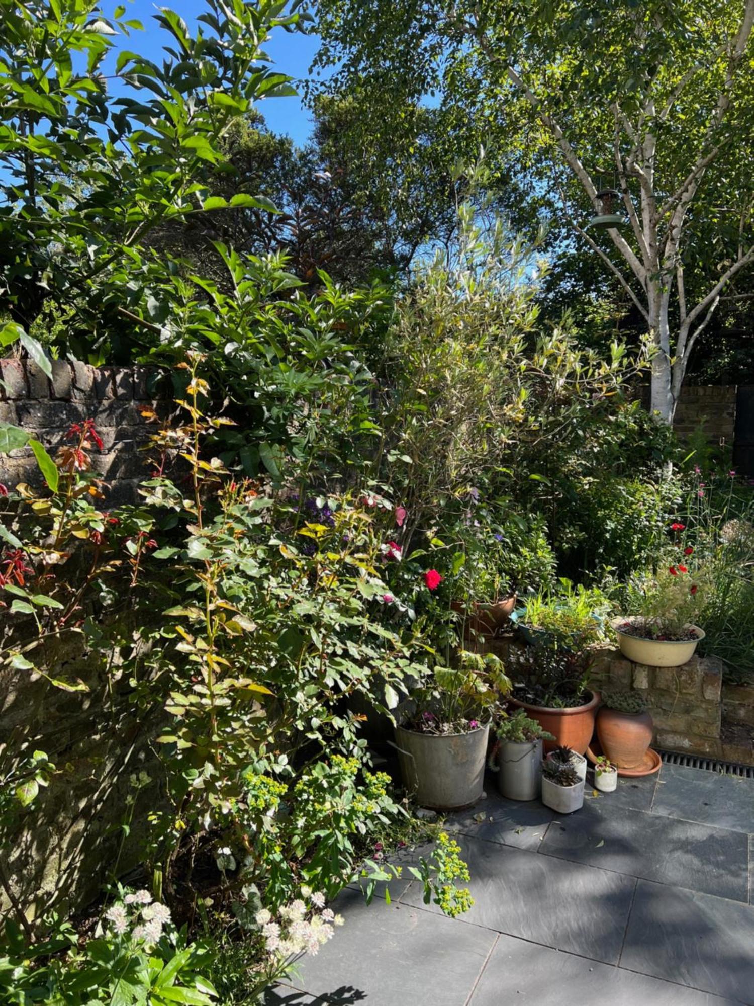 Bright And Elegant 2 Bedroom Flat, Near Notting Hill London Kültér fotó
