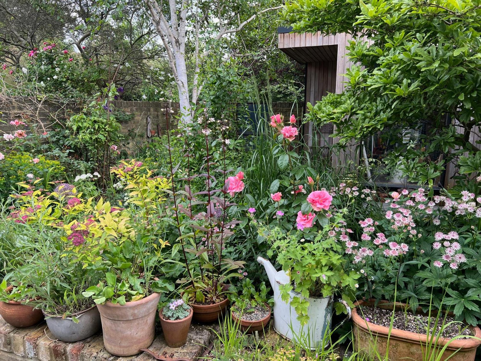 Bright And Elegant 2 Bedroom Flat, Near Notting Hill London Kültér fotó